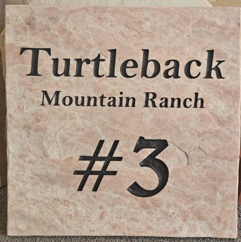 IMG-20250731-WA00032